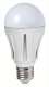 SEGEDIP A60-12W-WW Ampoule A60 BULB AVIA (E27) : Blanc Chaud 3000 K - 12w - Qualit� sup�rieure